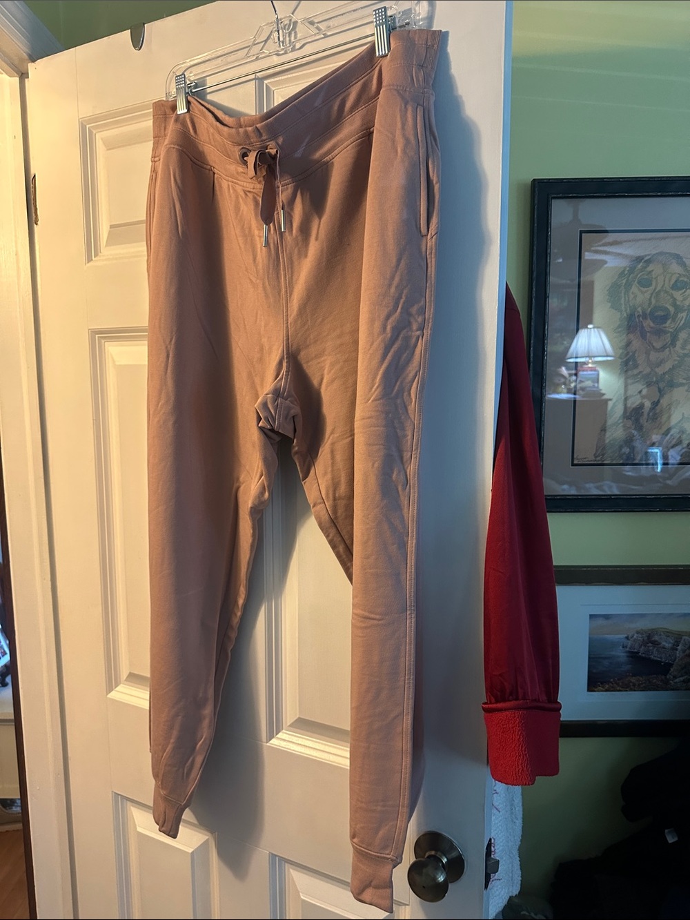 Athleta Men's Jogger Pants in Dusty Tan